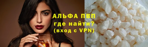 сатива Пенза