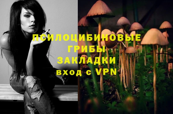 СК Ладушкин