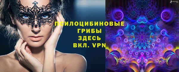 гидра Абинск