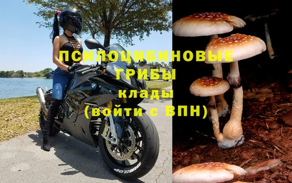 сатива Пенза