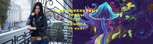 стафф Куйбышев