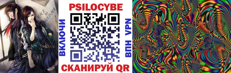 магазин    Бор  Псилоцибиновые грибы MAGIC MUSHROOMS 