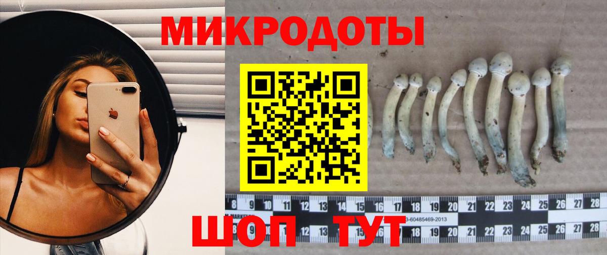Псилоцибиновые грибы ЛСД Бор