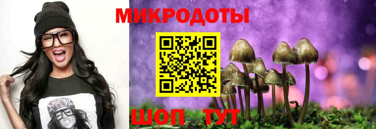 Галлюциногенные грибы прущие грибы  Галлюциногенные грибы Psilocybe  Бор  Вход с VPN 