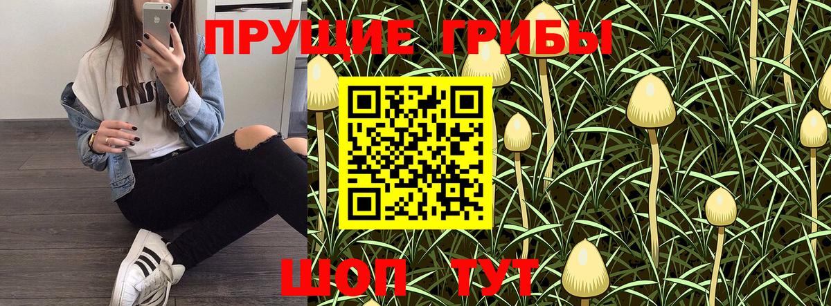 Галлюциногенные грибы MAGIC MUSHROOMS Бор